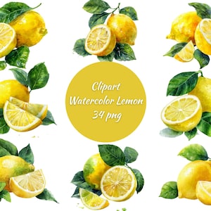 Aquarell Zitrone Clipart, frische Zitrusfrüchte PNG, digitale Zitrone, Sommer Dekor Kunst, transparenter Hintergrund, Sofort Download, kommerzielle Nutzung