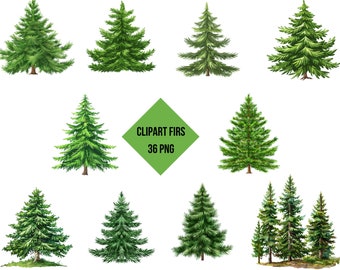 Puede incluir: Un conjunto de 36 imágenes de clipart de árboles de abeto, perfectas para agregar un toque de naturaleza a tus diseños. Los árboles están dibujados en un estilo realista con diferentes tamaños y formas.