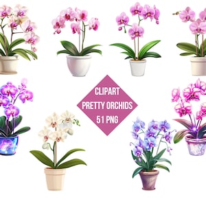 Clipart Beautiful Orchids | Potted Orchids PNG | Digital Print Orchids Collection | Transparent Background | High Quality Instant Download