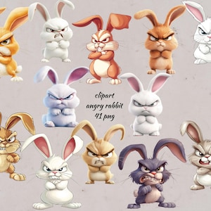 Angry Bunny Clipart Bundle: Grumpy Rabbit Pngs (commercial Use) - Etsy
