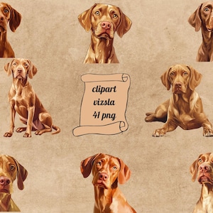 Vizsla Dog Clipart, 41 Animal Digital Prints, Home Pet Dog Vizsla PNG, Pet Clip Art, Transparent Background, Instant Download Commercial Use