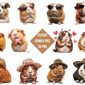 Clipart Pretty Guinea Pigs | Funny Guinea Pigs |Digital Print GuineanPigs With Love | Transparent Background | High Quality Instant Download