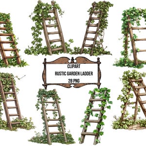 Houten ladder clipartbundel, rustieke tuinladder PNG, natuur botanische clipartset, transparante achtergrond, Instant Download commercieel gebruik