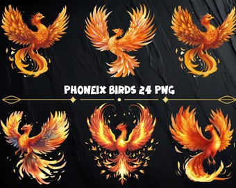Phoenix Vögel Clipart-Set | 24 PNG-Designs (kommerzielle Nutzung, Sofort-Download)