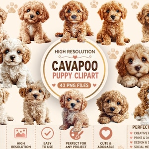 May include: A collection of Cavapoo puppy illustrations featuring various brown and cream-colored dogs in sitting and lying positions. The central circular graphic displays the text HIGH RESOLUTION CAVAPOO PUPPY CLIPART 43 PNG FILES.