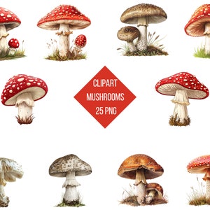Pilze Clipart Bundle | 60 PNG-Dateien | Pilz Muster PNG | DIY Dekor | Transparenter Hintergrund | Hochwertiger Sofortdownload