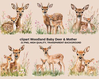 Deer Family Clipart, Watercolor Fawn 21 PNG, Woodland Nursery(Commercial Use, Instant Download)
