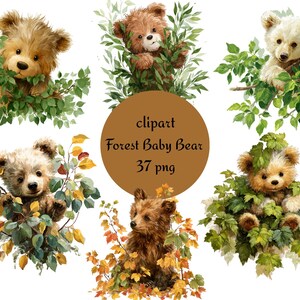 Niedliches Bären Clipart Bundle, Wald Baby Bär PNG, Waldtier mit Blättern Illustrationen, transparenter Hintergrund, Sofort Download