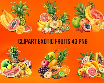 Tropisk frukt Clipart | PNG Exotisk fruktpaket (Direktnedladdning, Kommersiellt bruk, 43 PNG)
