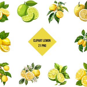 Lemon Clipart Bundle | Citrus Fruit PNG | Digital Lemon Branches | Transparent Background | Instant Download | Commercial Use
