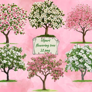 May include: Digital clipart of six flowering trees with pink and white blossoms. The trees are isolated on a pink background. The text "clipart flowering tree 31 png" is on a scroll.