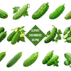 Clipart concombres | Concombres PNG | Impression numérique de concombres | Décoration de cuisine | Fond transparent | Haute qualité | Téléchargement instantané
