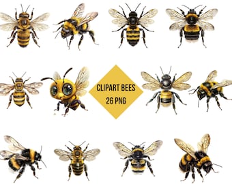 Honeybee Clipart | Watercolor Bee Illustrations (Commercial Use, Instant Download, 26 PNG)