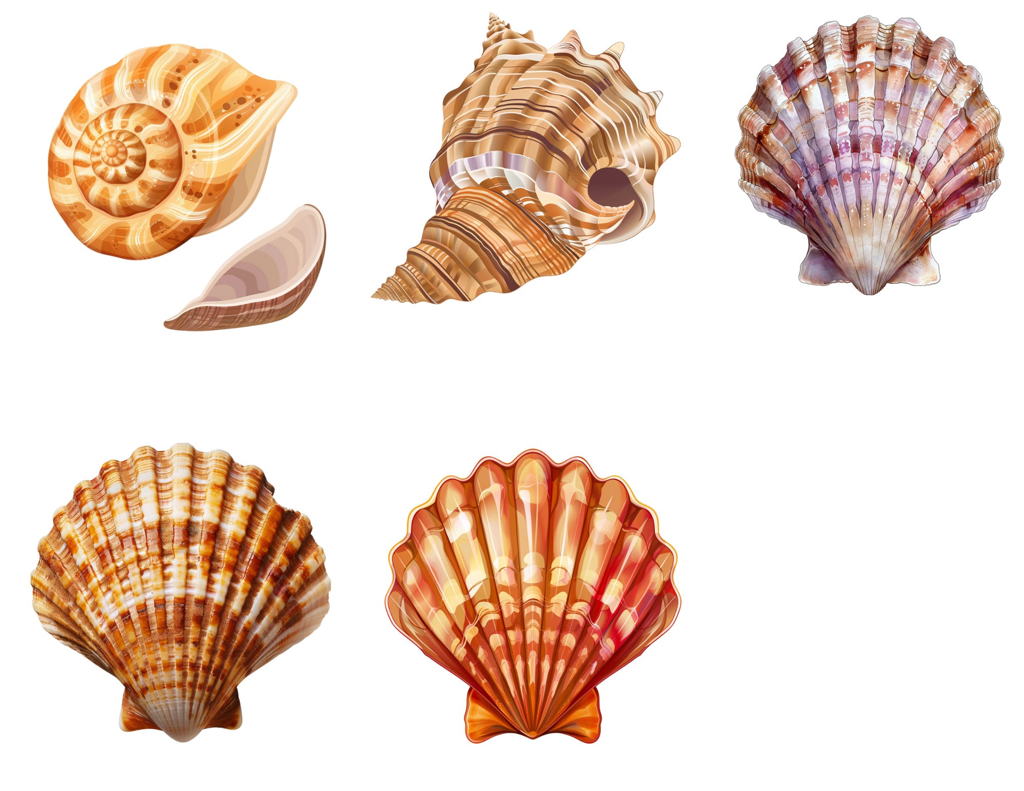 Seashells Clipart Set - 49 Pngs for Design Projects, Scrapbooking, and ...