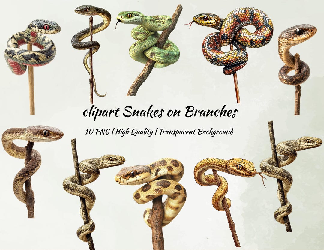 Coiled Snakes on Branches Clipart | Realistic Snake PNG Set | Digital ...