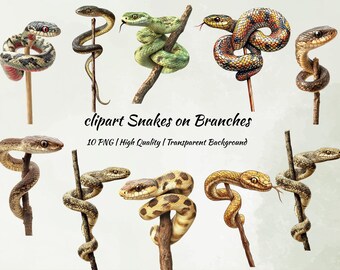 Realistic Snake Clipart: Coiled Snakes on Branches PNG Set (Digital Download)