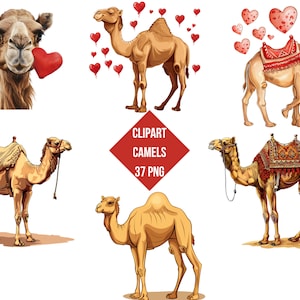Clipart Pretty Camels | Camels With Love PNG | Digital Print Camels | Transparent Background | High Quality Instant Download
