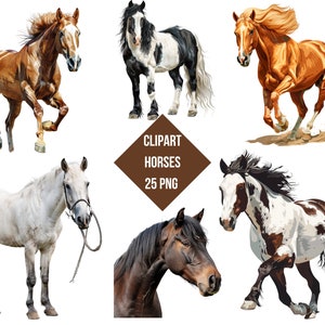 Majestic Horse Clipart | Realistic & Wild Horse PNG, Transparent Background | High Quality Instant Download Commercial Use