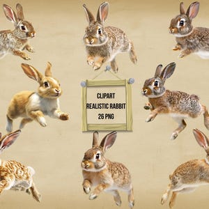 Realistic Rabbit Clipart Bundle, Jumping, Running & Standing Bunnies PNG, Transparent Background, Instant Download Commercial Use