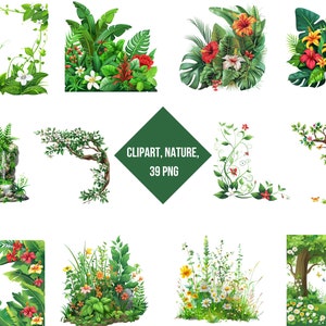 Clipart Nature | Pretty Decor For Invitations And Prokjects | Digital Print Nature | Transparent Background | High Quality Instant Download
