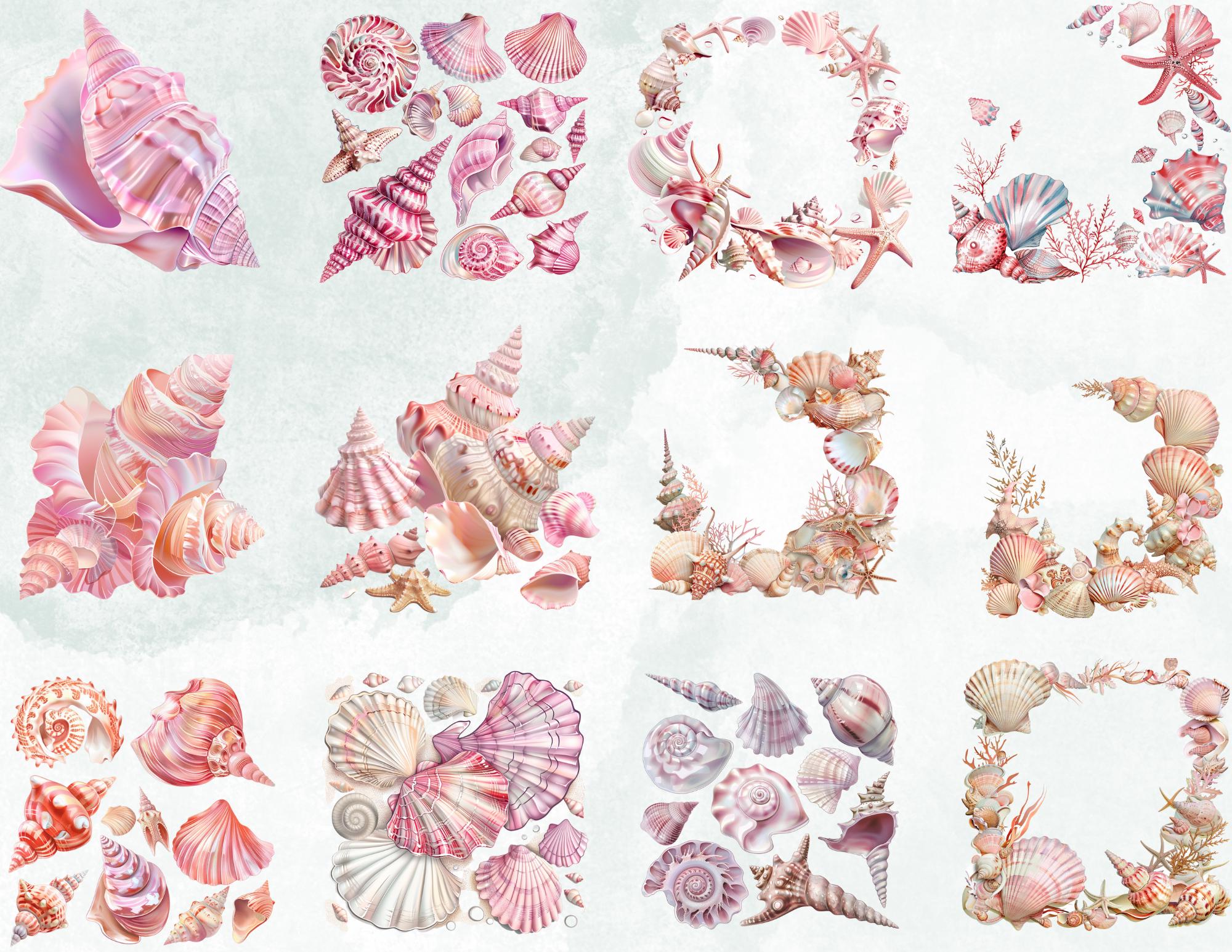 Pink Shells Clipart, Seashell Frames PNG, Digital Print Ocean-themed ...