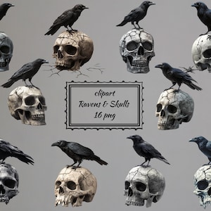 Raven and Skull Clipart Bundle, Gothic Crow PNG, Digital Dark Academia Art, Transparent Background Instant Download Commercial Use