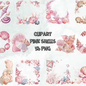 Könnte beinhalten: Ein digitaler Clipart-Satz mit 56 rosa Aquarell-Illustrationen von Muscheln. Die Muscheln sind in verschiedenen Mustern und Designs angeordnet, darunter Kränze, Bordüren und einzelne Muscheln.