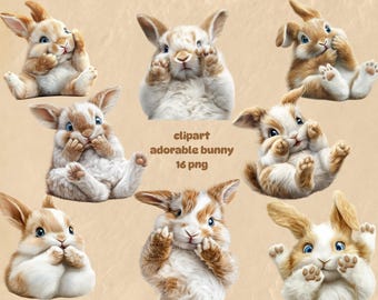 Bunny Clipart, Fluffy Rabbit 16 PNG, Easter Animals (Commercial Use, Instant Download)