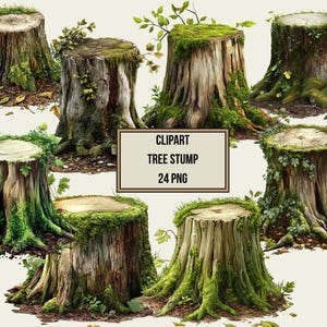 Tree Stump Clipart Bundle, Mossy Wood Logs PNG, Digital Forest, Transparent Background, High Quality, Instant Download, Commercial Use