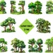 Enchanted Forest Clipart Bundle Rustic Forest Digital Prints Printable ...