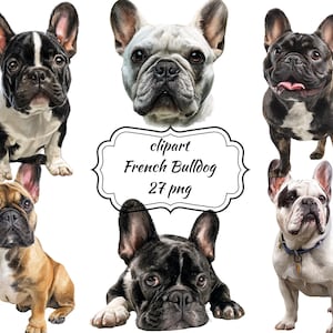 French Bulldog Clipart Bundle – Cute Frenchie PNGs – Funny Dog Illustrations – Pet Lover Design – Transparent Background – Instant Download