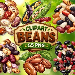 Beans Clipart | Variety of Legumes Illustration  (Instant Download, Commercial Use, 55 PNG)