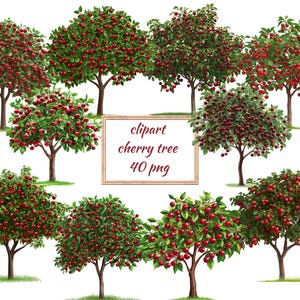 May include: A set of 40 digital clipart images of cherry trees with red cherries. The trees are isolated on a white background.