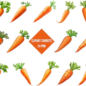 Clipart marchewki | Ilustracje marchewki 24 PNG | Wydruk cyfrowy warzywny wystrój | Przezroczyste tło | Wysokiej jakości natychmiastowe pobranie