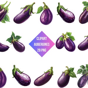 Clipart Aubergines | Aubergines PNG | Digital Print Aubergines | kitchen Decor | Transparent Background | High Quality Instant Download