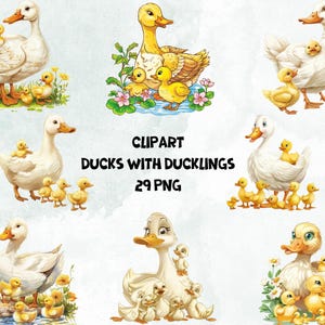 Clipart Adorable Ducks with Ducklings | Ideal for Crafts & Scrapbook | Transparent Background | Hight Quality | Instant Downald