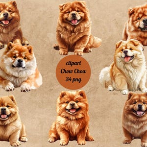 Chow Chow Clipart,Adorable Chow Chow PNG, Pretty Dog Clip Art, Digital Dogs, Transparent Background, Instant Download, Commercial Use