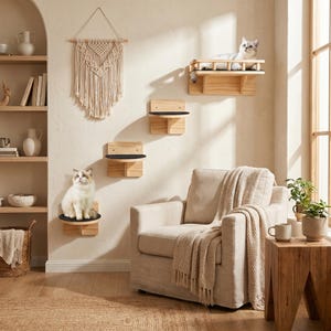 May include: A set of wooden cat shelves in a light-colored room. The shelves are mounted on the wall and have black circular platforms. Two cats are resting on the shelves. A macrame wall hanging and a beige armchair with a blanket are also in the room.