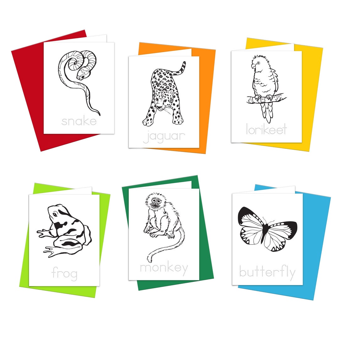 Coloring Cards: Rainforest Animals Theme Set of 6 Notecards to Color in ...