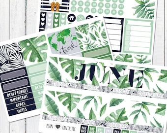June Tropical Monthly Kit - Tropical Palm Calendar Stickers for use with ERIN CONDREN LIFEPLANNER™