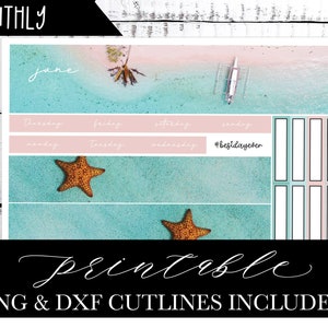 June Monthly Stickers June Cousin Planner Sticker Kit DIY Monthly Sticker PNG DXF Cutlines included for use with Silhouette™ or Cricut™