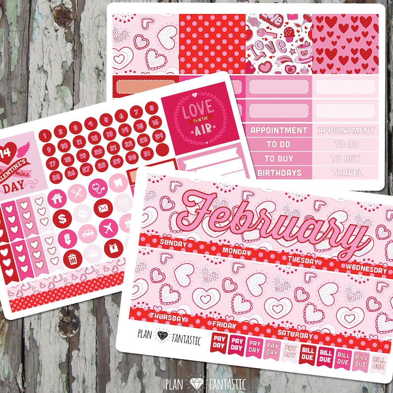 February Monthly Planner Sticker Kit for use with ERIN CONDREN LIFEPLANNER\u2122