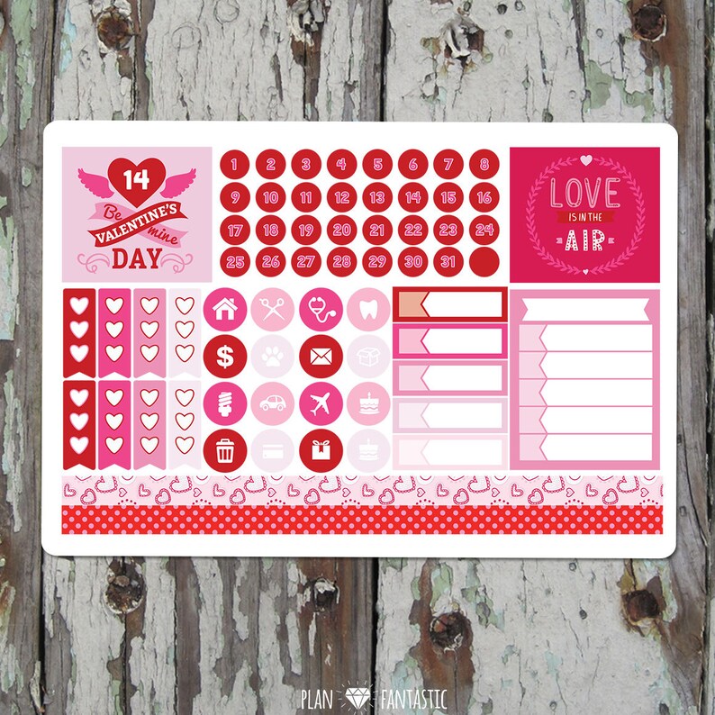 February Monthly Planner Sticker Kit for use with ERIN CONDREN LIFEPLANNER\u2122