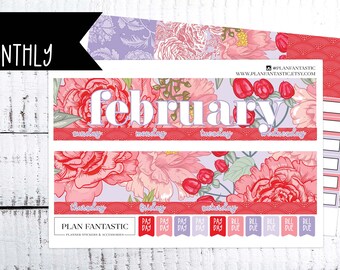 February Monthly Planner Sticker Kit - Valentines Day Month on 2 Pages - for use with ERIN CONDREN LIFEPLANNER™