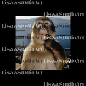 Puede incluir: Un retrato de un mono con pelaje marrón claro y una cara oscura, con una expresión pensativa. La mano del mono está cerca de su rostro. El fondo muestra agua y montañas. El texto "LisaaStudioArt" se repite en los bordes.