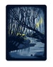 Haunted Woods - Original Screen Print 