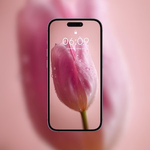 Papel de parede para celular com tulipa rosa macro | Papel de parede para iPhone | Papel de parede floral suave | Tela de bloqueio estética em tons pastel | Plano de fundo para Apple Watch