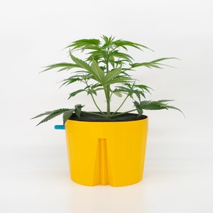 Hydro Farmer | pot and watering | single | yellow | hydro culture