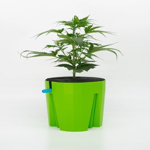 Hydro Farmer | pot and watering | single | green | hydro culture