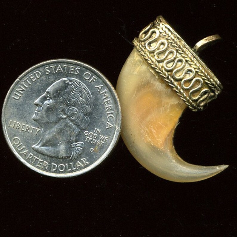 Vintage Tiger Claw Pendant Etsy